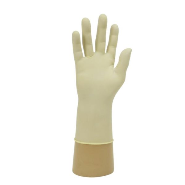 Latex Powder Free Gloves